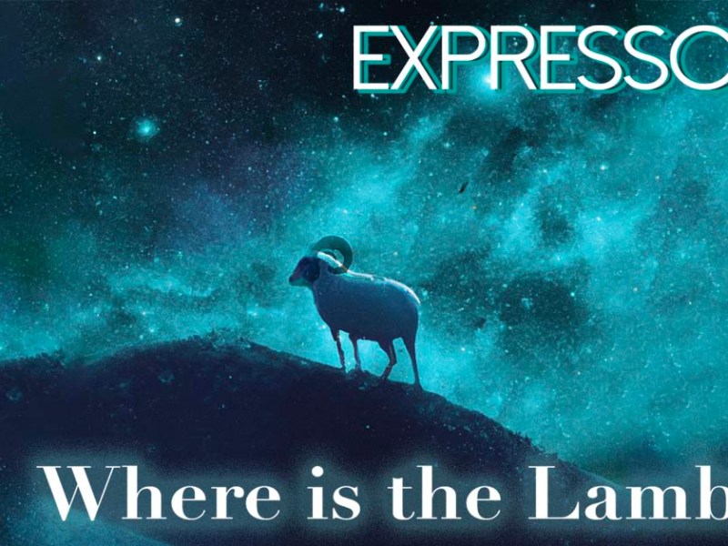 Where is the Lamb – The&nbsp;Single